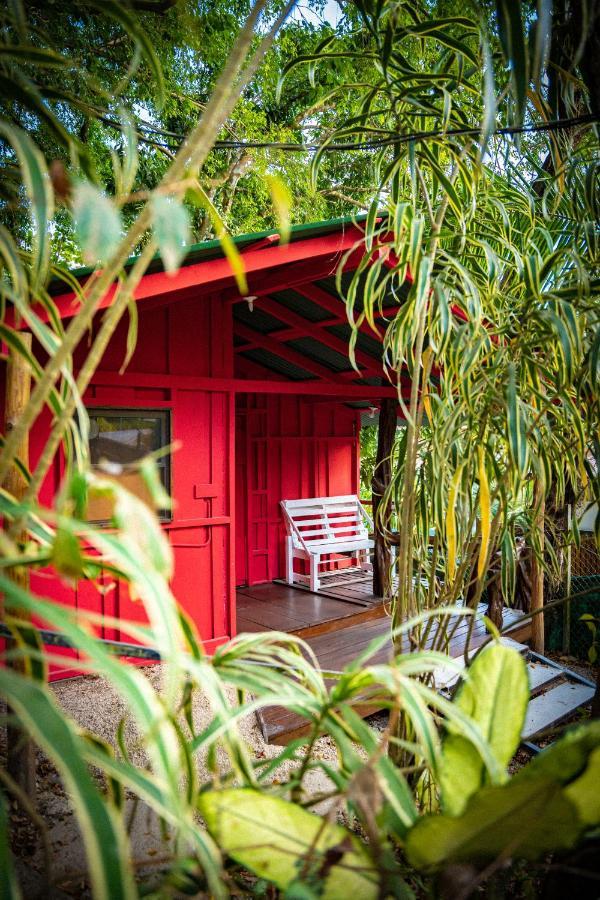 Pura Vida Mini Hostel Santa Teresa Playa Santa Teresa  Dış mekan fotoğraf
