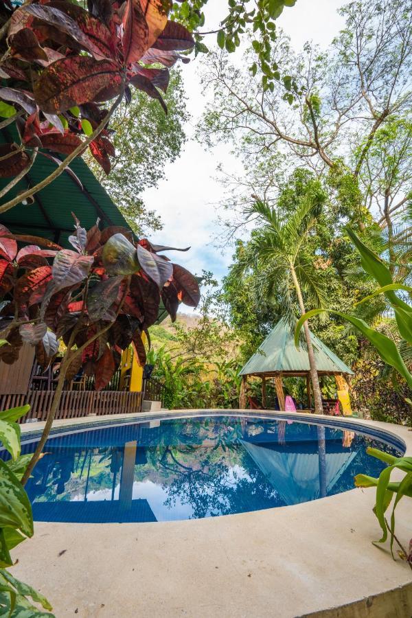 Pura Vida Mini Hostel Santa Teresa Playa Santa Teresa  Dış mekan fotoğraf