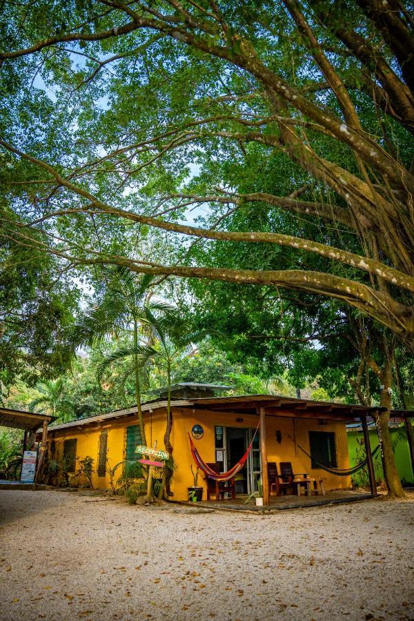 Pura Vida Mini Hostel Santa Teresa Playa Santa Teresa  Dış mekan fotoğraf
