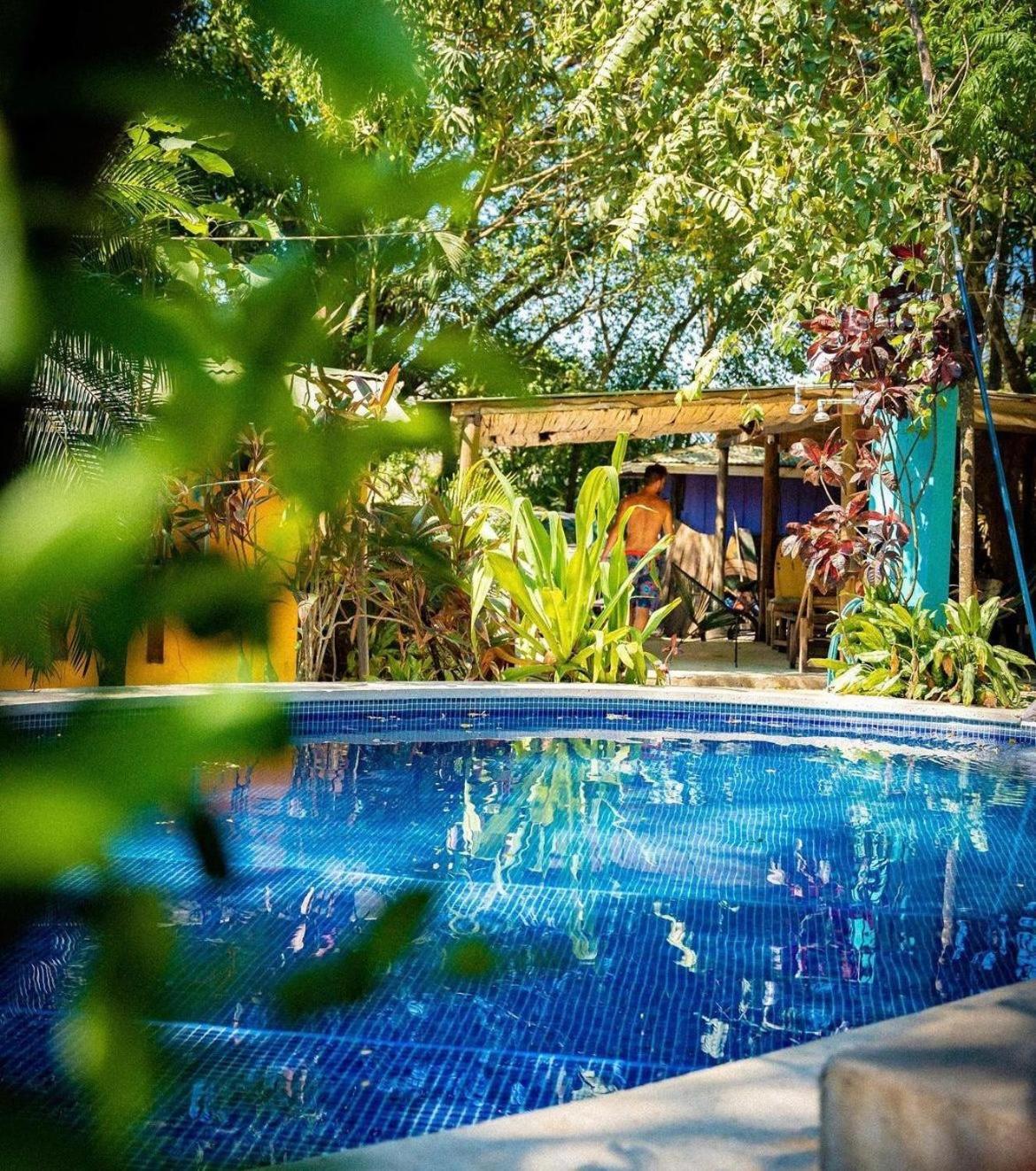 Pura Vida Mini Hostel Santa Teresa Playa Santa Teresa  Dış mekan fotoğraf